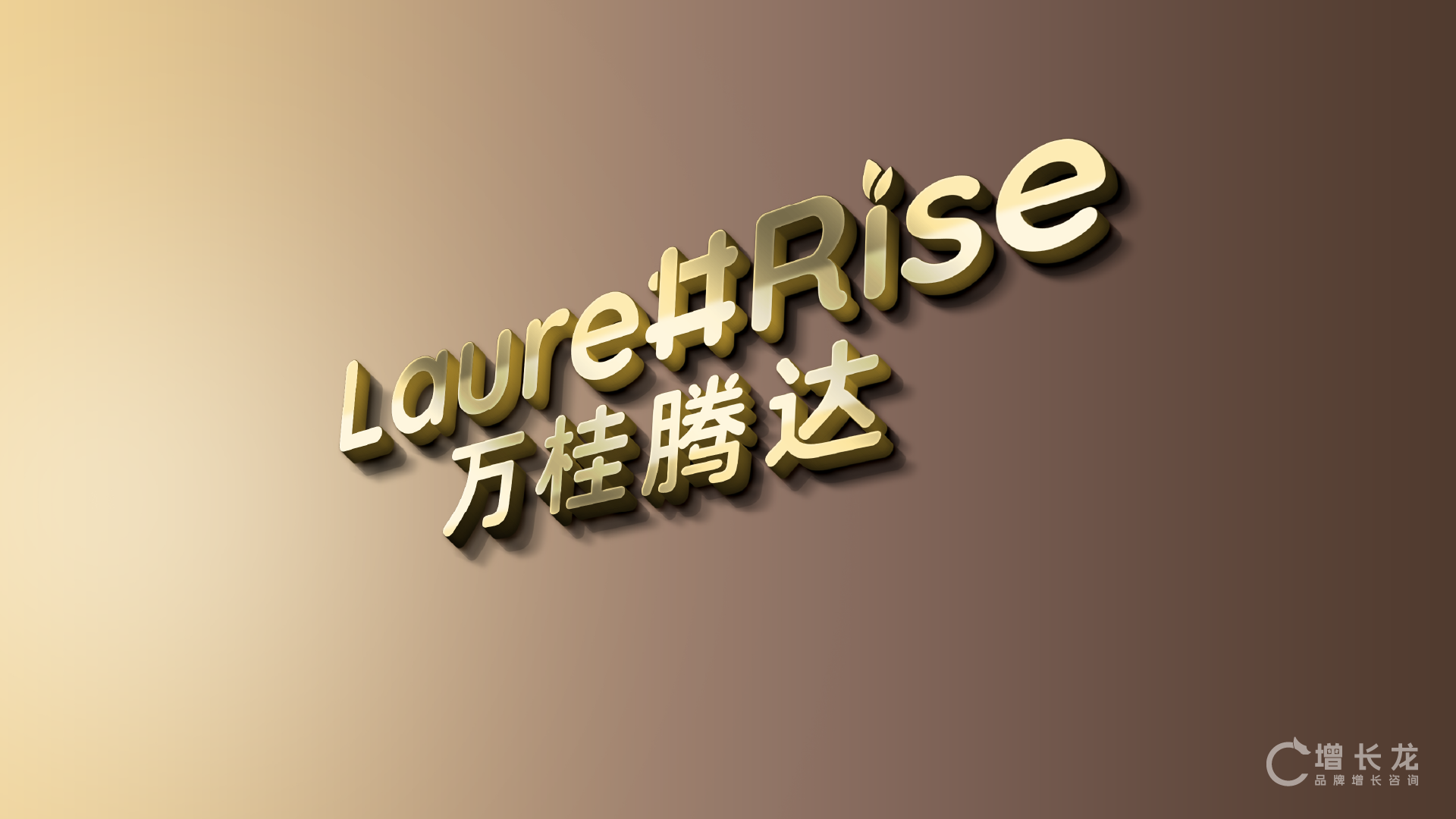 LaurelRise 万桂腾达 项目视觉与应用展示 10