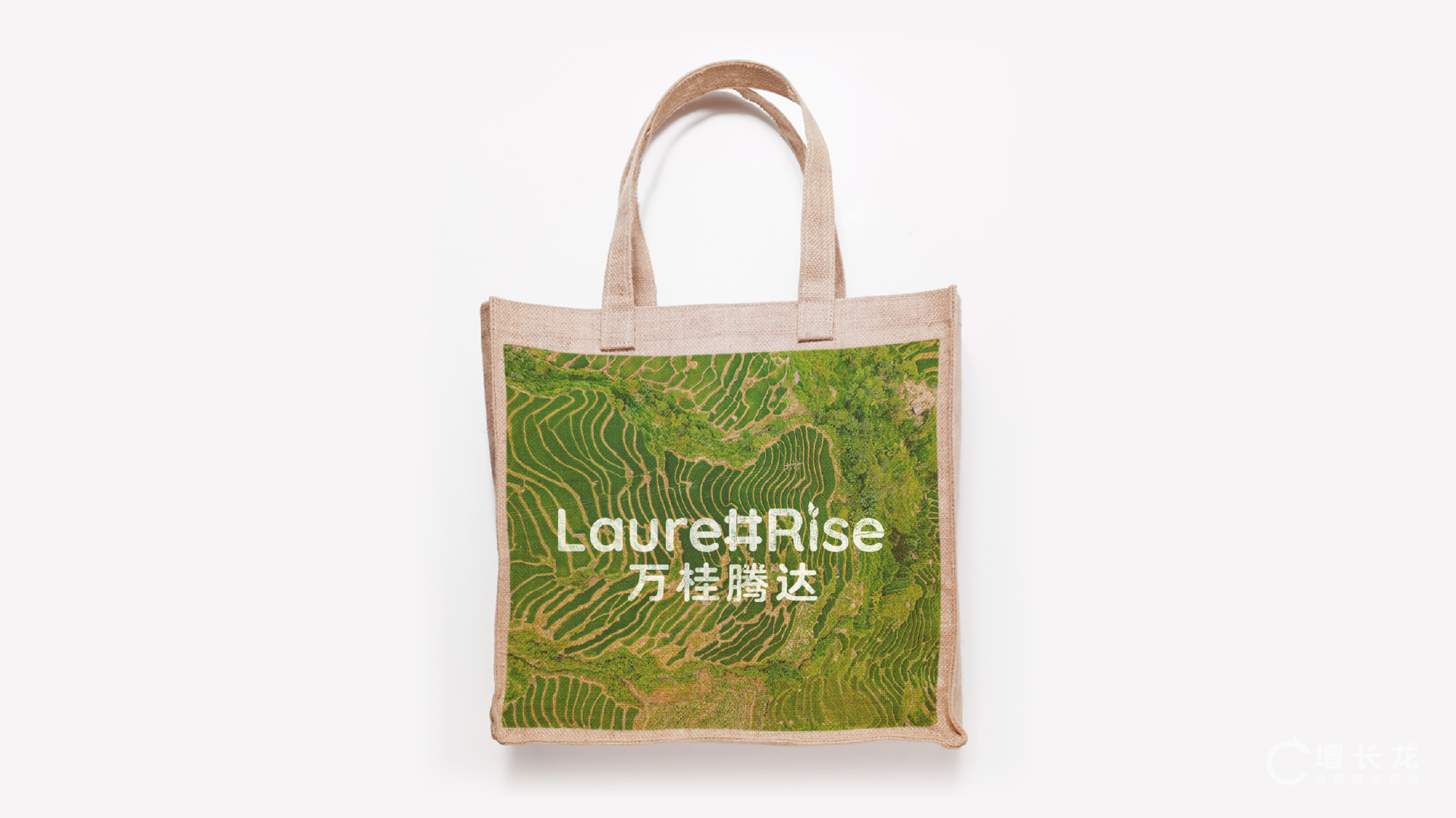 LaurelRise 万桂腾达 项目视觉与应用展示 14
