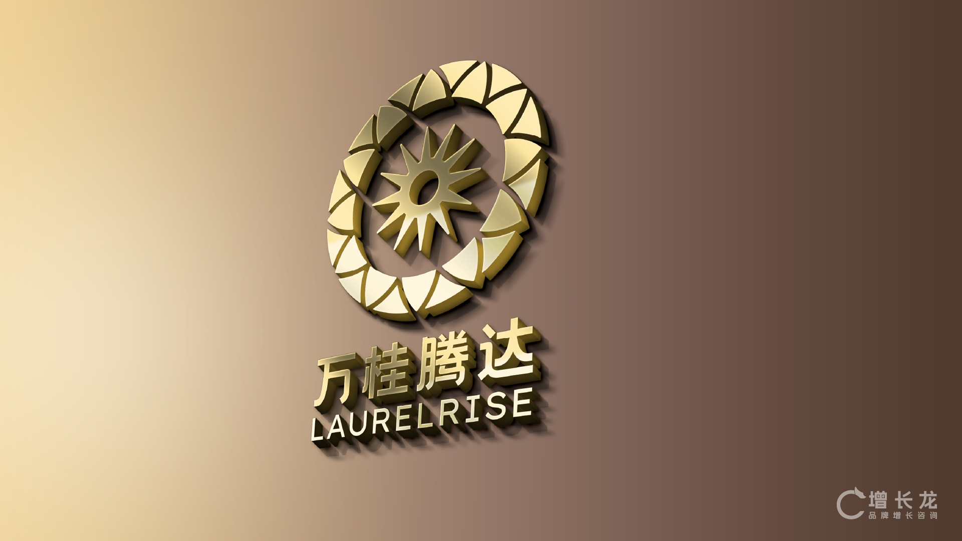 LaurelRise 万桂腾达 项目视觉与应用展示 19