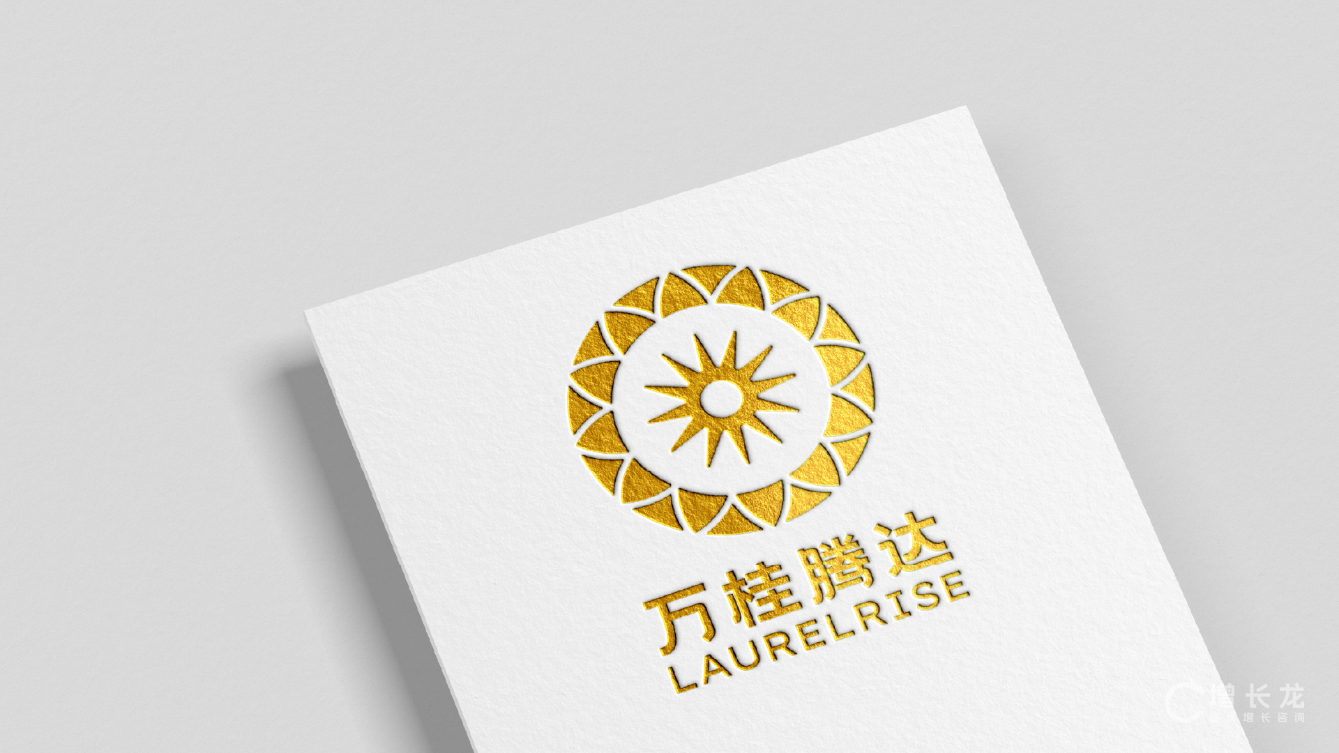 LaurelRise 万桂腾达 项目视觉与应用展示 20